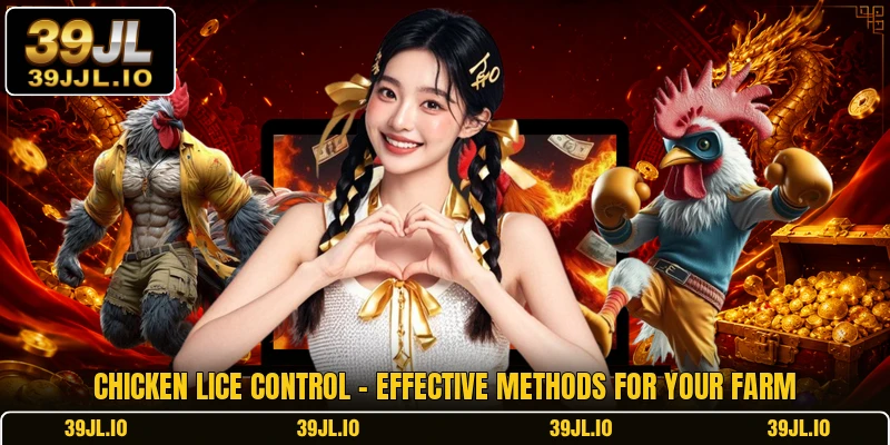 Chicken Lice Control - Effective Methods For Your Farm