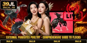 External Parasites Poultry - Comprehensive Guide To Flocks