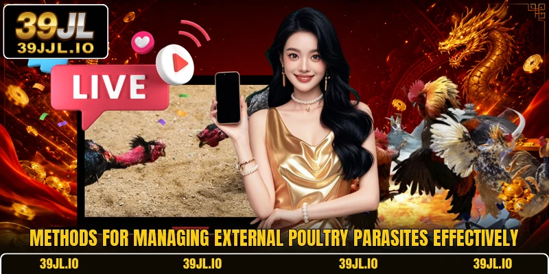 Methods for managing external poultry parasites effectively