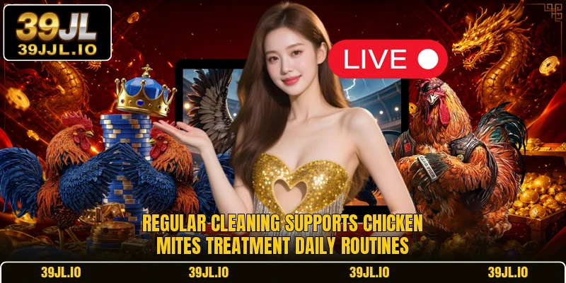 Regular cleaning supports chicken mites treatment daily routines