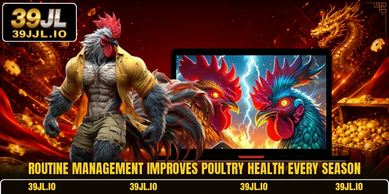 Routine management improves poultry health every season